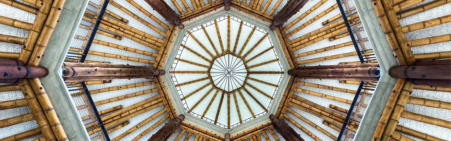 Jardín Botánico de Cali